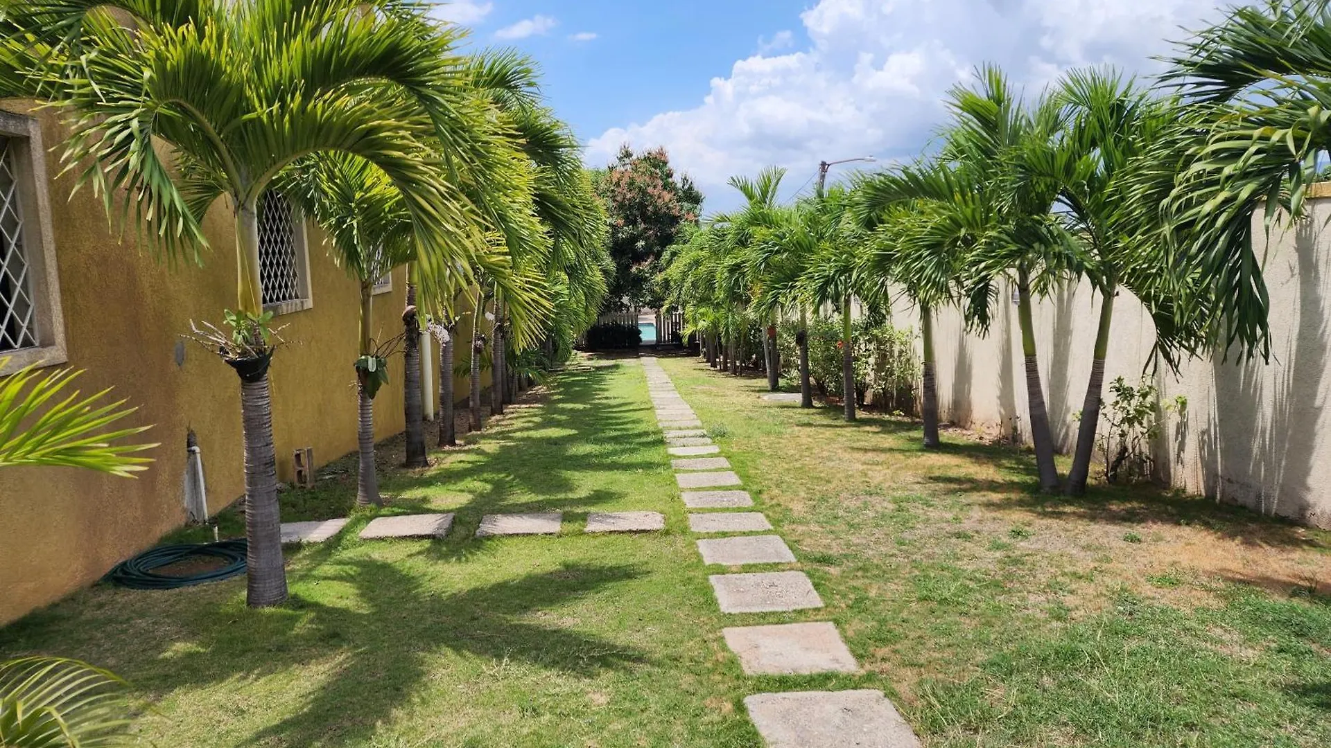 مبيت وإفطار كينغستون Sweet Oasis 0*,  جامايكا